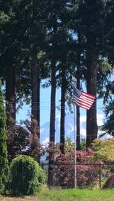 Quiet Oasis in Eatonville near Mount Rainier - Image 2