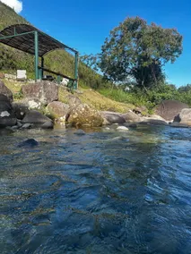 Snorkeling in Nature - Image 2