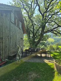 Holiday home Osteregg ”Hüsli” - Image 2