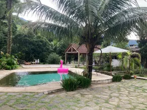 House, Natural pool, Waterfall, Beach nearby! - Image 4