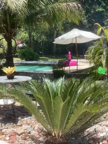 House, Natural pool, Waterfall, Beach nearby! - Image 3