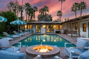 Der clevere Kaktus - Fabulous Brand New Listing! - Image 2