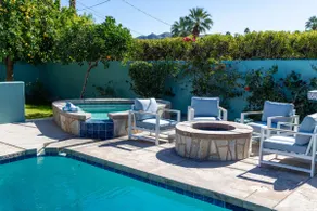 Der clevere Kaktus - Fabulous Brand New Listing! - Image 5