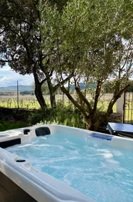 Gîte Le Puech, with spa, countryside, vineyard, rest - Image 5