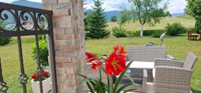 Apartment Golden Fields - Image 3