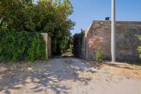 Villa Susanna - Image 3