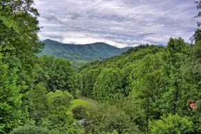 Spacious 4BR Cabin in Warrensville, NC - Image 4