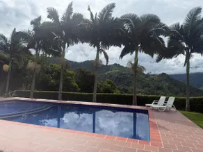 Finca Bellavista with a private pool - Image 2