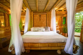 Manantial del Turpial Cabin, Photography of bird - Image 2