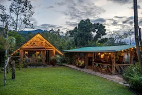 Manantial del Turpial Cabin, Photography of bird - Image 3