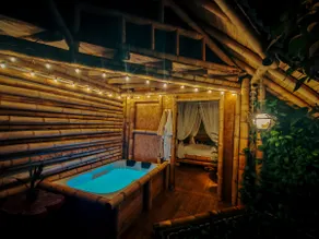 Manantial del Turpial Cabin, Photography of bird - Image 4