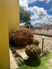 Your stay in Teresina - Image 4