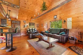 Rustic cabin on private pond and 7 acres! Woodstove, porch for wildlife viewing - Image 3