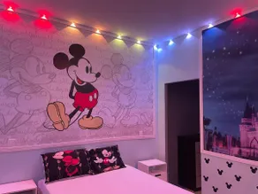 Disney House with Heated Pool and Themed Bedrooms - Image 2
