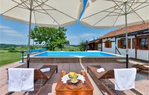 Amazing home in Sveti Ivan, Zabno - Image 2