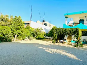 Tropical Oasis in Downtown – 5 min walk to the Pier - Image 3