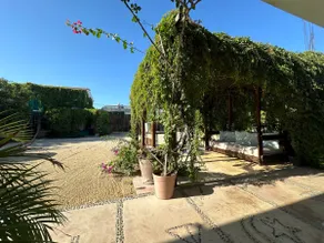 Tropical Oasis in Downtown – 5 min walk to the Pier - Image 5