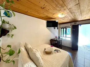 Tropical Oasis in Downtown – 5 min walk to the Pier - Image 2