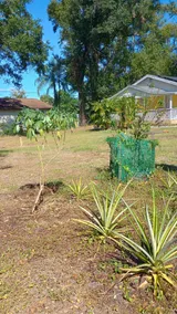 Springs Bungalow - Image 3