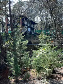 Cuarzo Azul Cabin. Huasca. Spa. Pet-friendly. - Image 2
