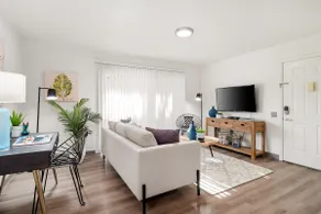 Conveniently Located Apartment. Short walk to UCD! - Image 3