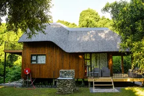 Fufu's Cosy nest in the forest - Image 3