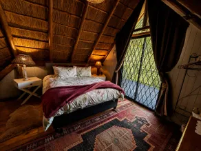 Fufu's Cosy nest in the forest - Image 5