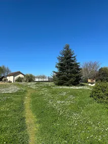 Holiday home for 4 people – La Rimbertière - Image 4