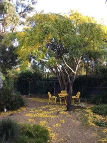 Apartment in a garden amongst the gum trees - Image 4