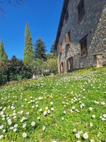 Assisi Casa Vacanze Da Luigi - Image 4