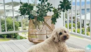 The Sanctuary by the Sea, Family and Dog Friendly - Image 3
