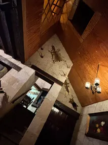 Cabaña Fridah - Image 2