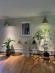 The Plant Haus - Image 3