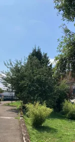 Independent Studio in Greater Besançon - Image 4