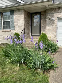3 BED/2 BA on Bourbon Trail - Pet Friendly - Image 5
