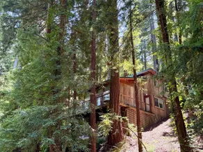 Tranquil Monte Rio Treehouse • 1BR Retreat - Image 2