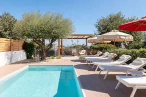 Terpsis Pool Villa - Image 4