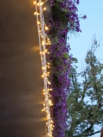 The house on the rainbow° - Image 5