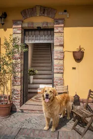 Casa della Bonarda, 2 bedrooms, with swimming pool - Image 4