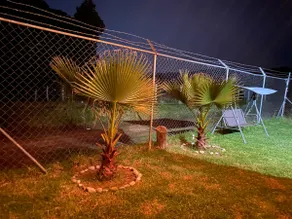“Meli's Cabin” - Image 3