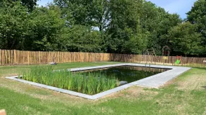Friesebedstee Gaasterland | calm & natural pool - Image 2