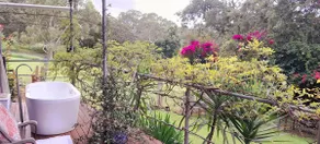 Grose Vale near Bilpin Tranquil cottage on acres - Image 5