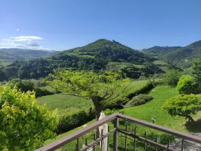 Ca'Grande with Panoramic Terrace • Pet-Friendly - Image 2