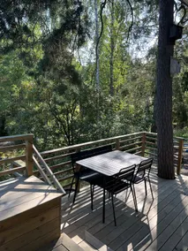 Modern tranquil retreat nestled in nature - Image 4