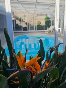 Rural Farm with swimming pool 20 minutes from Porto - Image 2