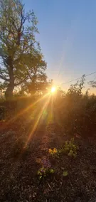 South Downs Cabin near Goodwood - Sunset Views - Image 3