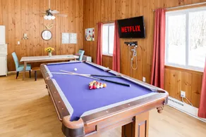 Dog Friendly Indoor Pool Pool Table Slps 22 - Image 2