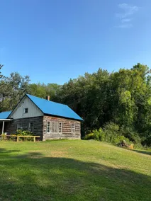 The Lundgren Tree Farm - Image 3