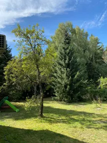 Summer house of the Polish Wolves - Image 4