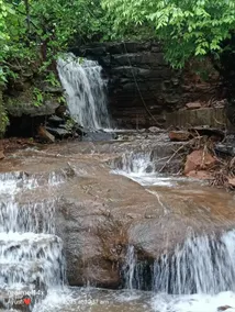 Bo peep Getaway, where nature comes home - Image 5
